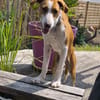 Lua sucht ihre Familie