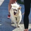 Schmusebacke sucht liebevolles Zuhause