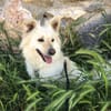 Schmusebacke sucht liebevolles Zuhause