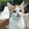 Kleiner Moritz möchte Welt entdecken!