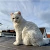 Geschwister Frieda und Mona