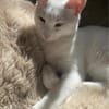 Geschwister Frieda und Mona