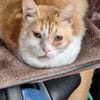 Unsere zarte und verkuschelte Maya