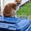 Unsere zarte und verkuschelte Maya