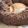 Unsere zarte und verkuschelte Maya