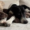 Wunderbare♥Wilma♥wartet in 04157 Leipzig