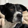 Wunderbare♥Wilma♥wartet in 04157 Leipzig