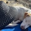 Manolo auf der Suche nach Glück 82284