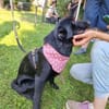 Jara  Kleine Entdeckerin mit Herz