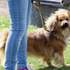 ROBY - Liebe, Zuneigung und Geduld