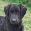 Ist Giasone Ihr neues Familienmitglied?