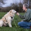 Fido wünscht sich ein eigenes Körbchen