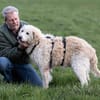 Fido wünscht sich ein eigenes Körbchen