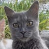 Mama Minka sucht Zuhause
