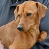Tatu sucht seine Menschen