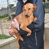 Tatu sucht seine Menschen