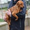 Tatu sucht seine Menschen