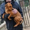 Tatu sucht seine Menschen