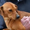 Tatu sucht seine Menschen