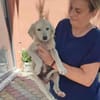 Mogli sucht sein Glück