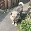 liebe Lotti sucht ihre Familie