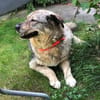 liebe Lotti sucht ihre Familie