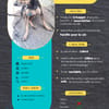 ZIGGY le petit pinscher