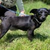 Kleine REGINA sucht Körbchen