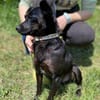 Kleine REGINA sucht Körbchen