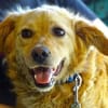 LOLA 2 sucht Familie