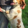 Hundedame LAURA