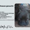 Zuhause gesucht für unsere Mory