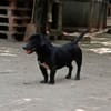 Tapi sucht seine Herzensmenschen