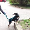 Nuts sucht ihre Menschen