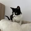Frida die Schmusebacke