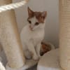 Emmy und Morphy aus dem Tierschutz