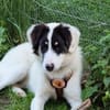 Loelia sucht ein liebevolles Zuhause!
