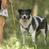 Golden Girl-entspannt und aufgeschlossen