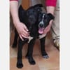 Omega - süßer Jungspund sucht Zuhause