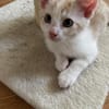 Winnie