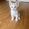 Winnie