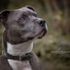 Odin