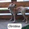 CHRISTINA  unbeschwert+liebenswert