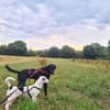 Krizia auf Pflegestelle in Winnenden