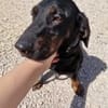 Die kleine💕Tilda💕 sucht ihre Menschen