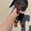 Die kleine💕Tilda💕 sucht ihre Menschen