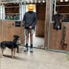 Meri sucht endlich ihr Zuhause