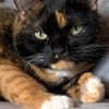 Mia und Casseema suchen nur zusammen
