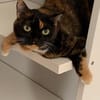 Mia und Casseema suchen nur zusammen
