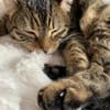 Mia und Casseema suchen nur zusammen